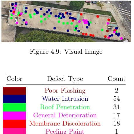 Summary of Visual Defects for Roof Section